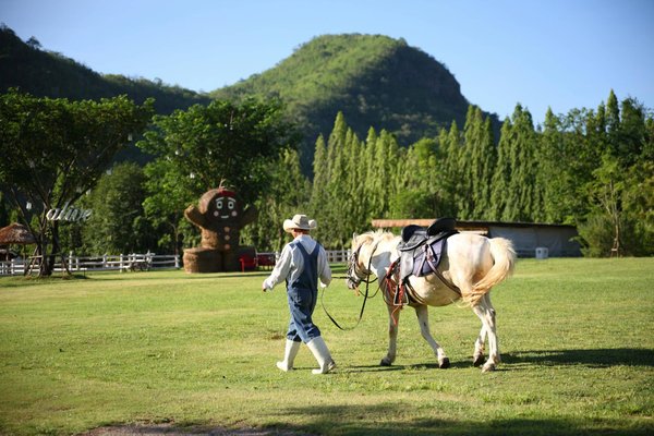Comment préparer un cheval pour le concours de saut d'obstacles de haut niveau?