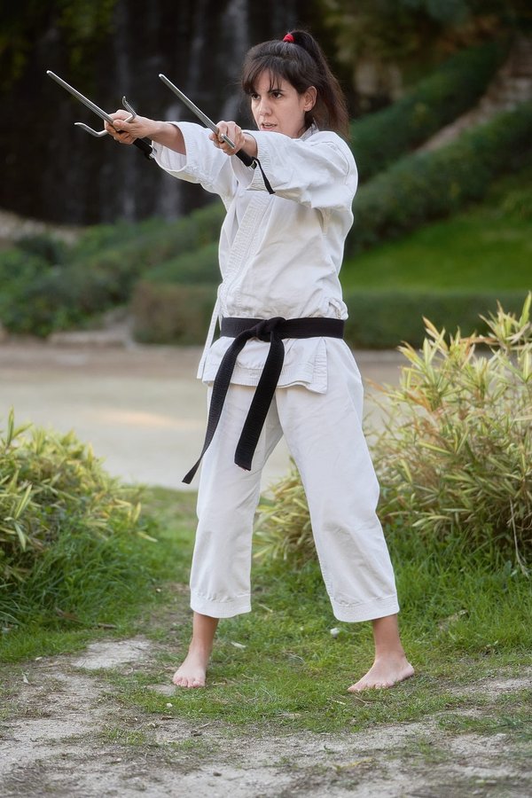 Quelle est l'importance des techniques de déplacement en Ninjutsu pour l'entraînement des forces spéciales?